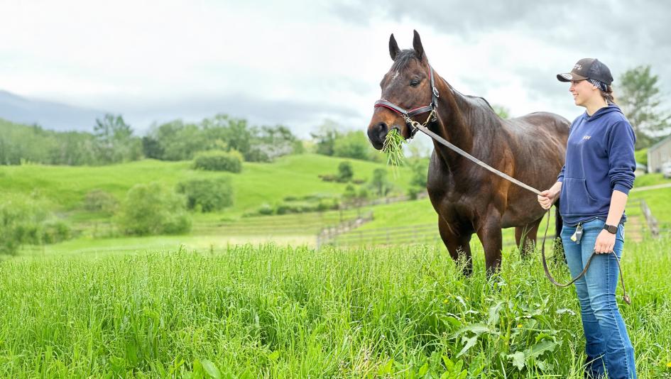 Galerio, Thoroughbred Aftercare Alliance, retirement, OTTB, racehorse, aftercare, Remember Me Rescue, travel, trailer, Texas, Maryland, Facebook, equine, horse racing, ABR